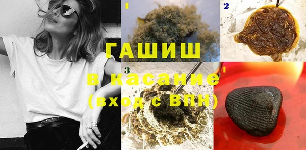 стаф Алзамай