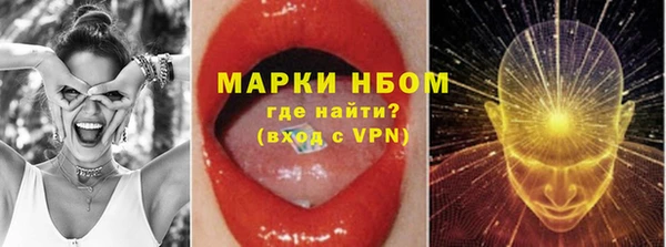 стаф Алзамай