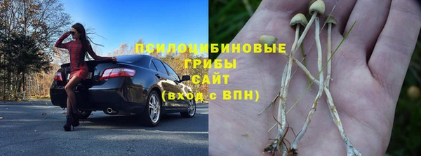 стаф Алзамай