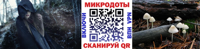 Псилоцибиновые грибы Psilocybe  где можно купить   ссылка на мегу сайт  Анива 